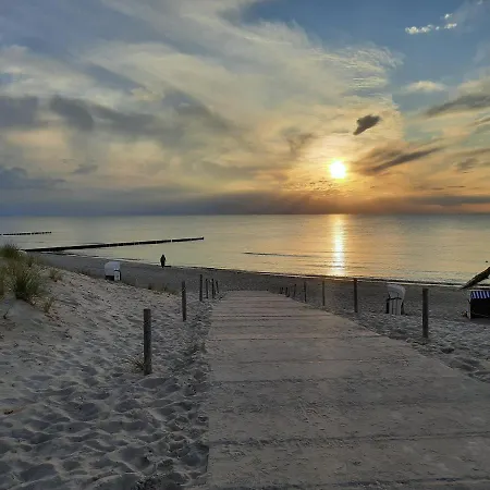 Mit Blick Ins Grune